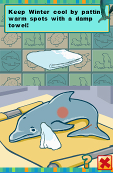 dolphin dolphin