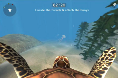 turtle turtle