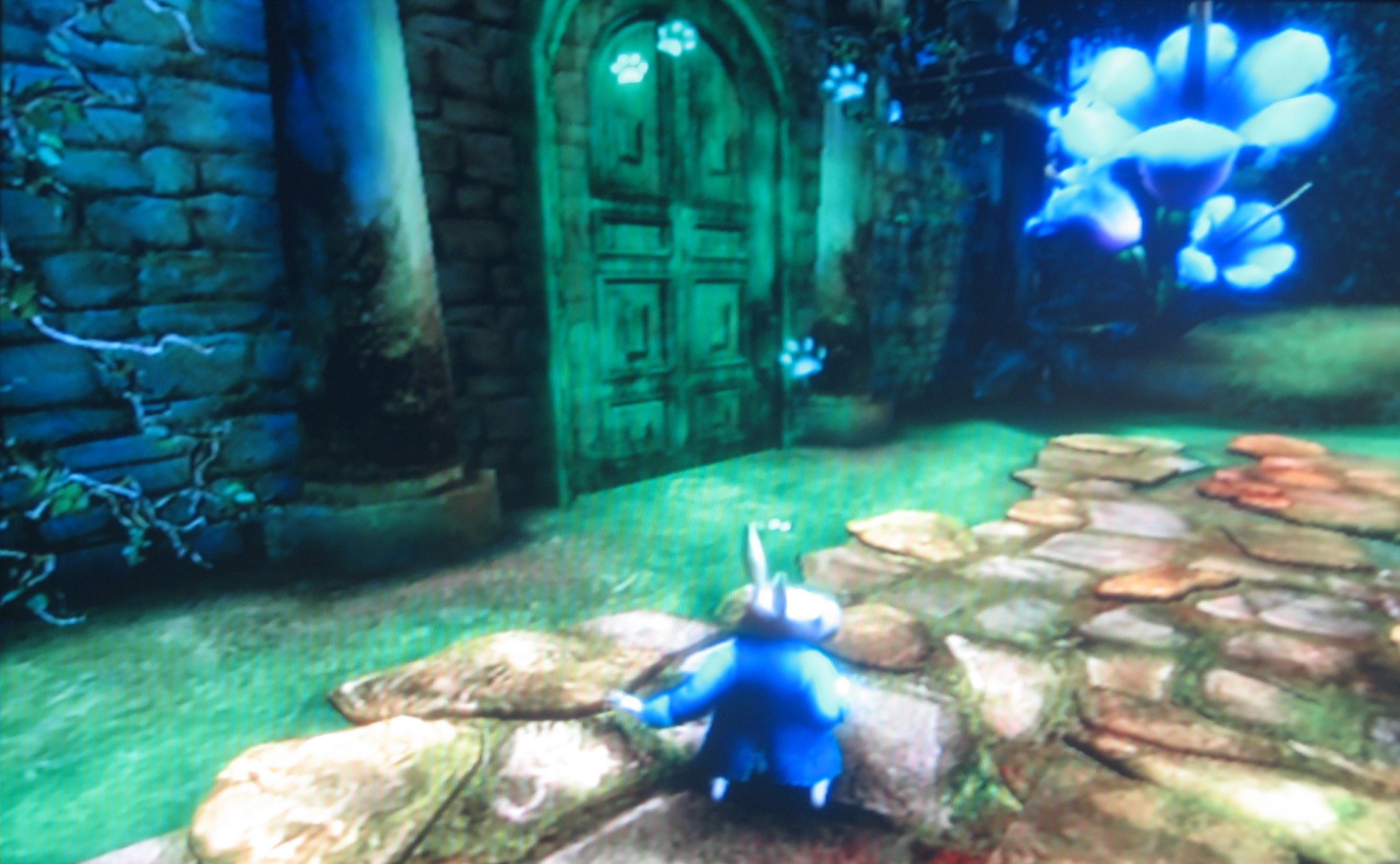 alice alice