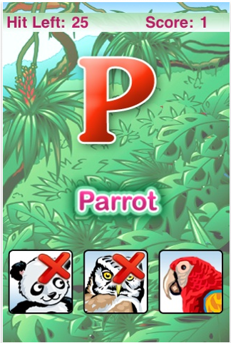 animals animals
