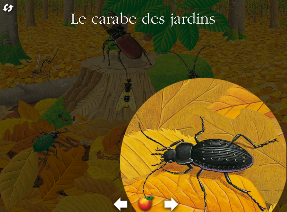 laforet laforet