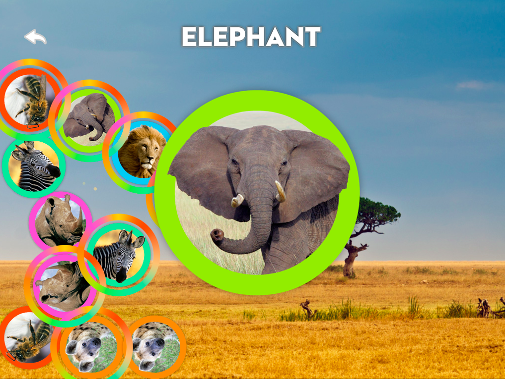 elephant elephant
