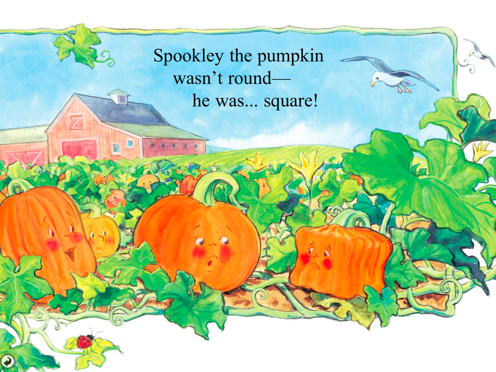 pumpkin pumpkin
