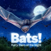 bats bats