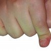 fingertip fingertip