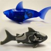 fishy2 fishy2