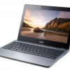 acer acer