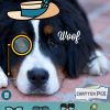 chatterpix chatterpix