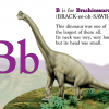 dinosaur dinosaur
