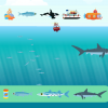 mpocean mpocean