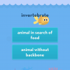 vocab vocab