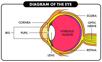 epub The Huainanzi